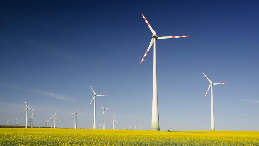 White wind turbines in a field of green grass.