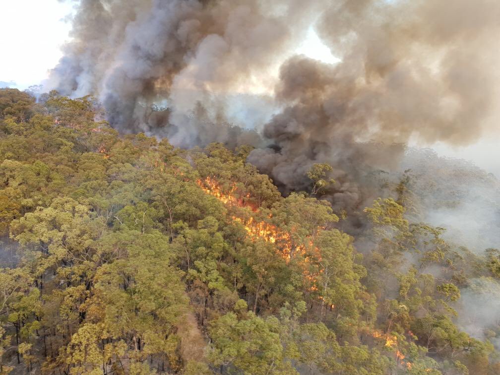 Has NSW seen more than twice the amount of prescribed burning in