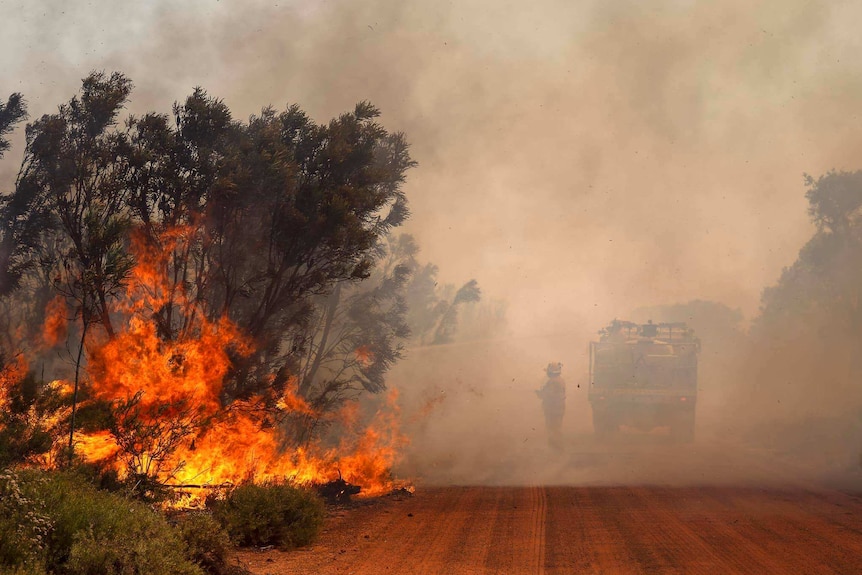 A dirt road in bushland with a bushfire burning off to the side and a fire truck parked nearby.