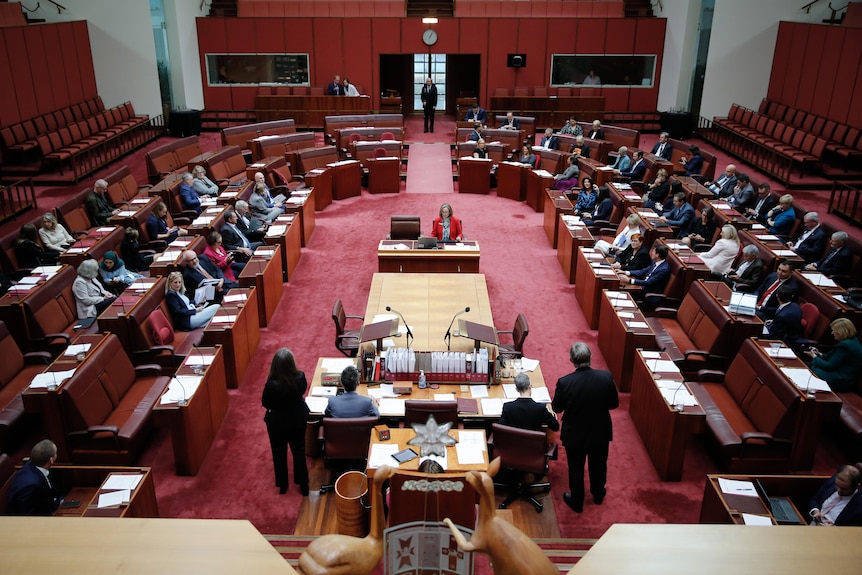 Coalition the Greens senators voting together against Labor