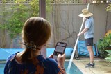 Back of woman's head holding phone while standing at window watching man clean pool.