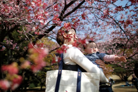 A mother carrying a baby while standing underneath cherry blossom trees in full bloom