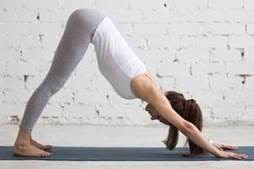 A woman performing the 'downward dog' pose, with hands and feet on a yoga mat.