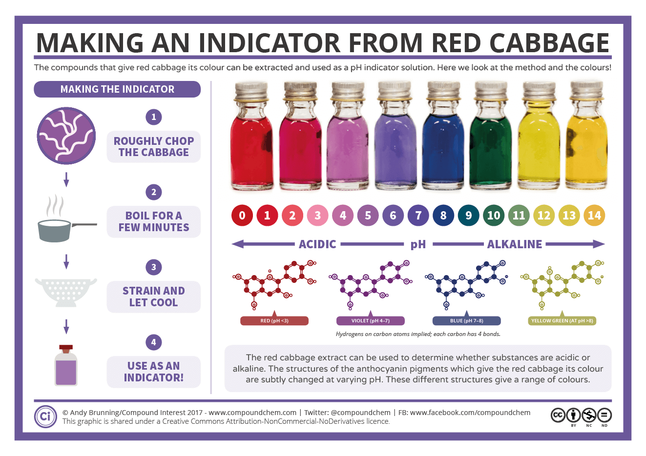 Graphic showing the process of extracting red cabbage indicator and a pH scale with corresponding colours