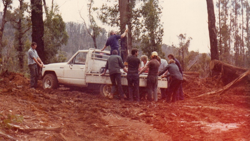 a group of men stand around the back of a ute in dense bushland.