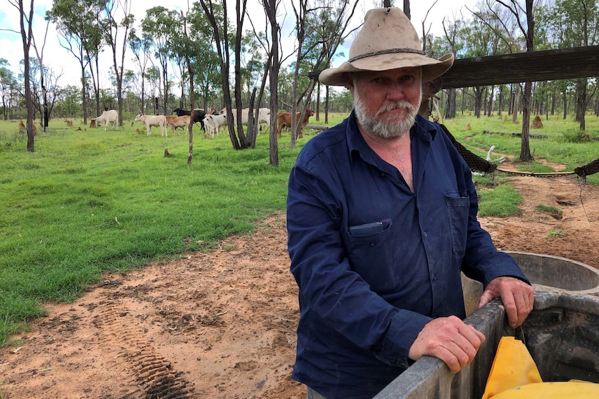 A man stands in front of a green paddock with black, brown and white cattle in it