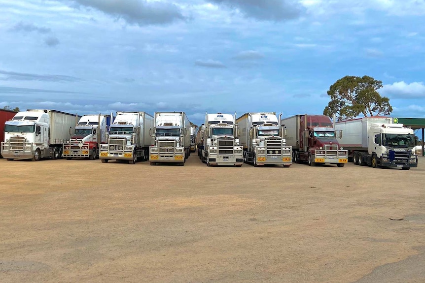 A line of trucks waiting for the Eyre Highway between SA and WA to be reopened earlier this year.