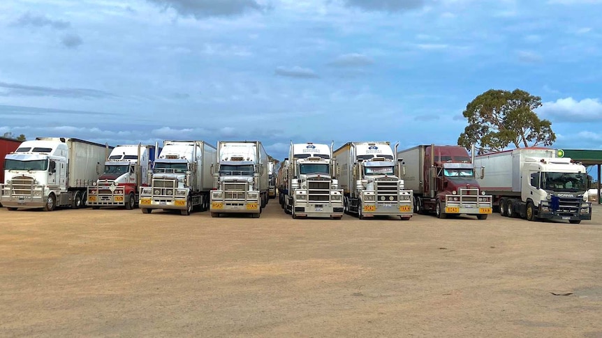 A line of trucks waiting for the Eyre Highway to be reopened.