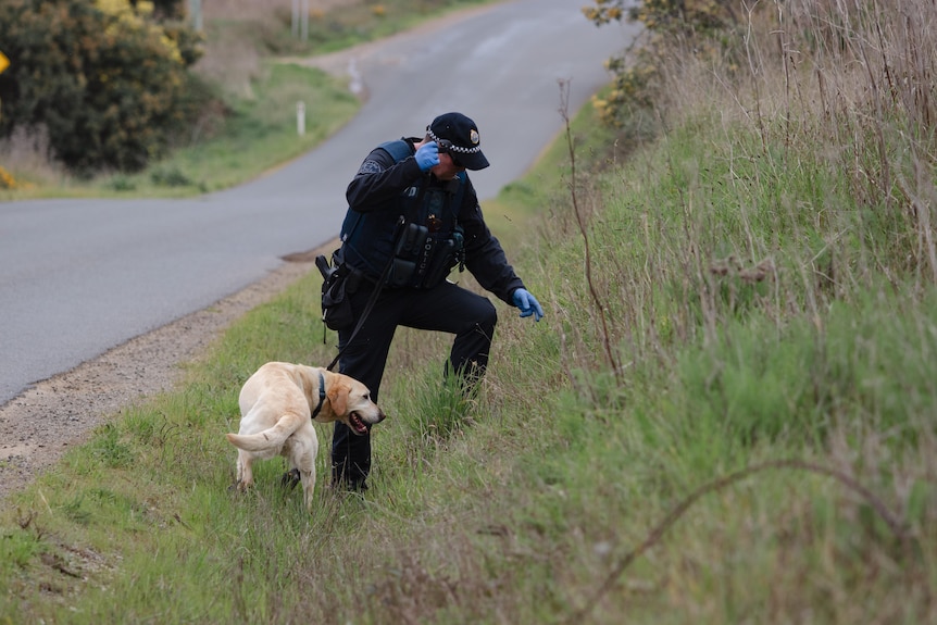 A uniformed police officer points at a section of bushland as a police dog stands behind him.