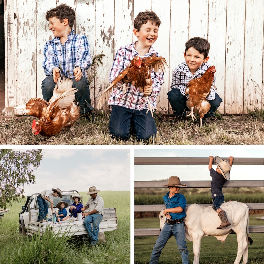 Three boys trying to hold chickens, a family of four eating lunch from a ute tray and a small boy trying to ride a steer