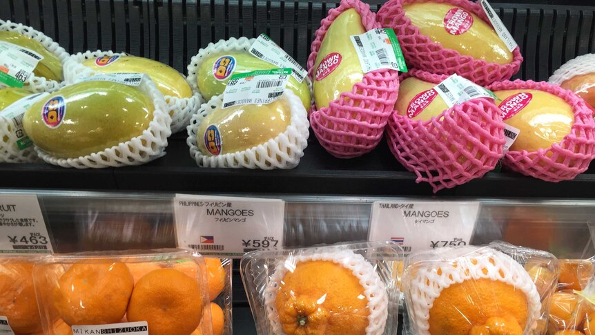 Fruit including mangos and oranges on a supermarket shelf in Japan with layers of foam and plastic wrap on polystyrene trays.