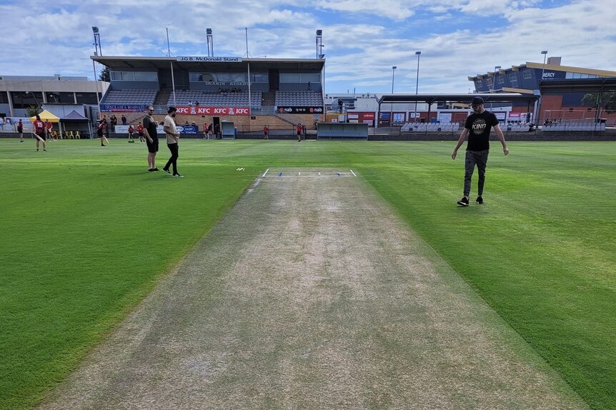 A photo of a cricket pitch in Shepparton.