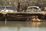 collapsed Murray river bank