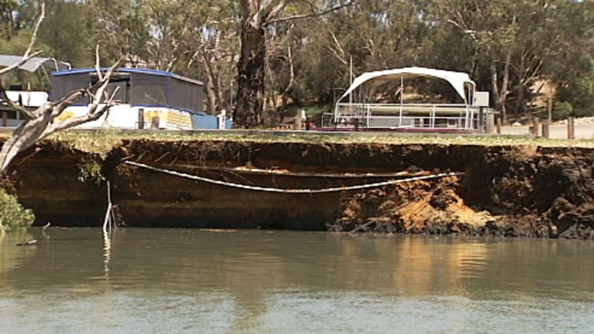 collapsed Murray river bank