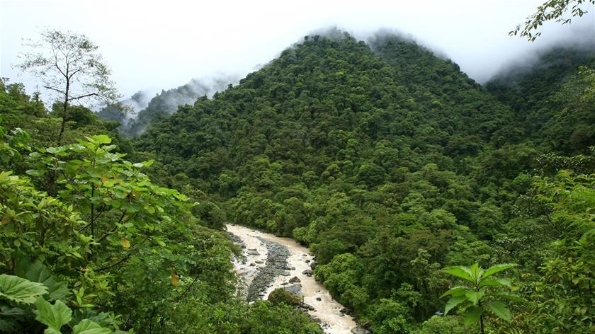 National Park Tapamti in Orosi, Costa Rica