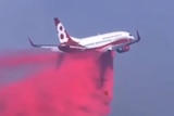 A cloud of red liquid streams out behind a passenger plane