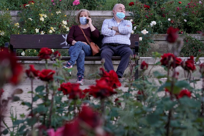 An elderly woman and man wearing face masks sit on a bench among a tiered rose garden in a park.