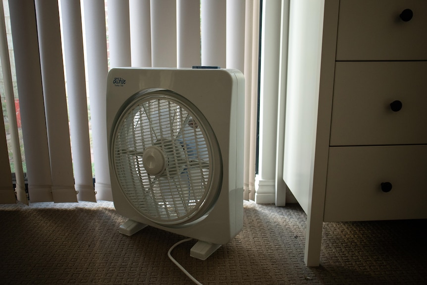 Fan on floor near blinds