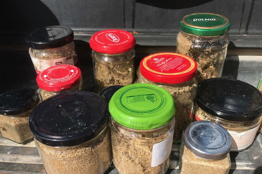 An assortment of recycled glass jars containing sand.