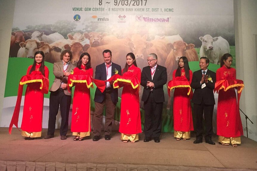 Beef and Dairy Livestock Asia