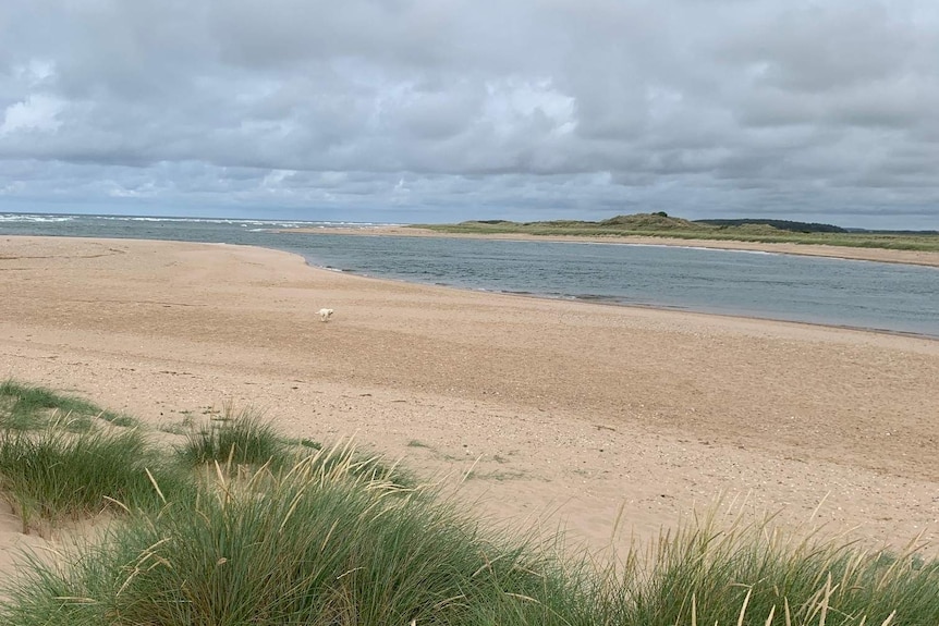 Grasses, dunes and inlets on the modern day Norfolk coast