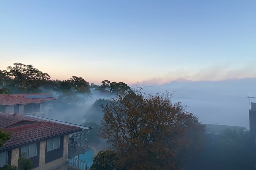 Smoke over rooftops 