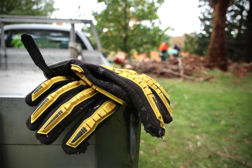 A pair of heavy duty gardening gloves rest on the back of a ute.