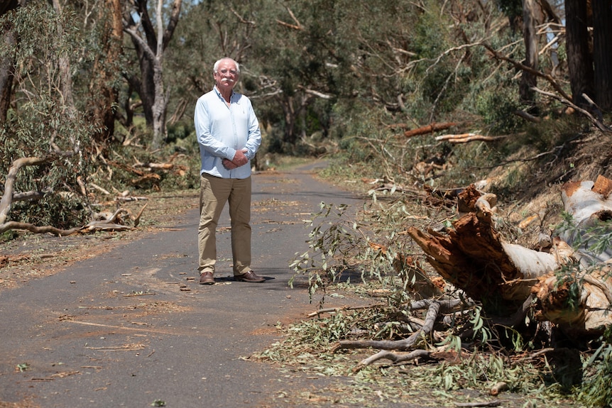 A man stands in the middle of the road. Around him, trees and branches are lying on the ground.