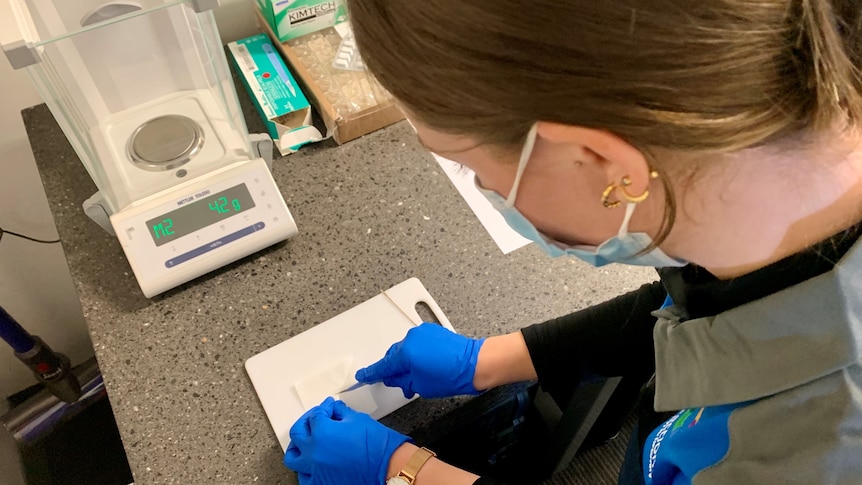 a healthworker inspecting a substance in a labratory 