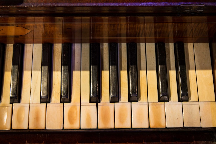 The keys of First Fleet Piano - some are more worn from more frequent use.