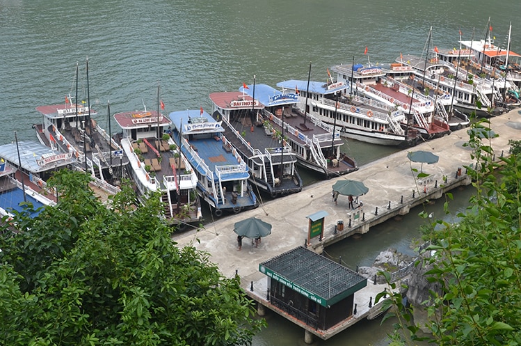 Hundreds of boats cruise the bay each day