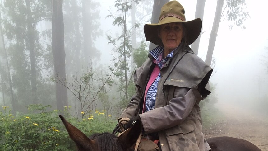 Rhonda Treasure, whose family has been droving in Victoria's high country for more than a decade.