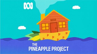 The Pineapple Project cover art: a pineapple boat containing a house floats on a purple sea.