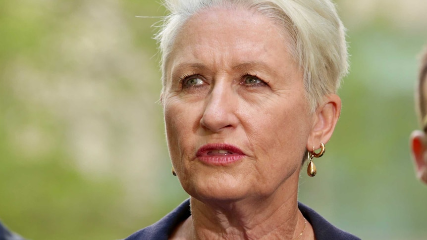 Federal member for Wentworth, Dr Kerryn Phelps, looks off into the distance at a press conference.
