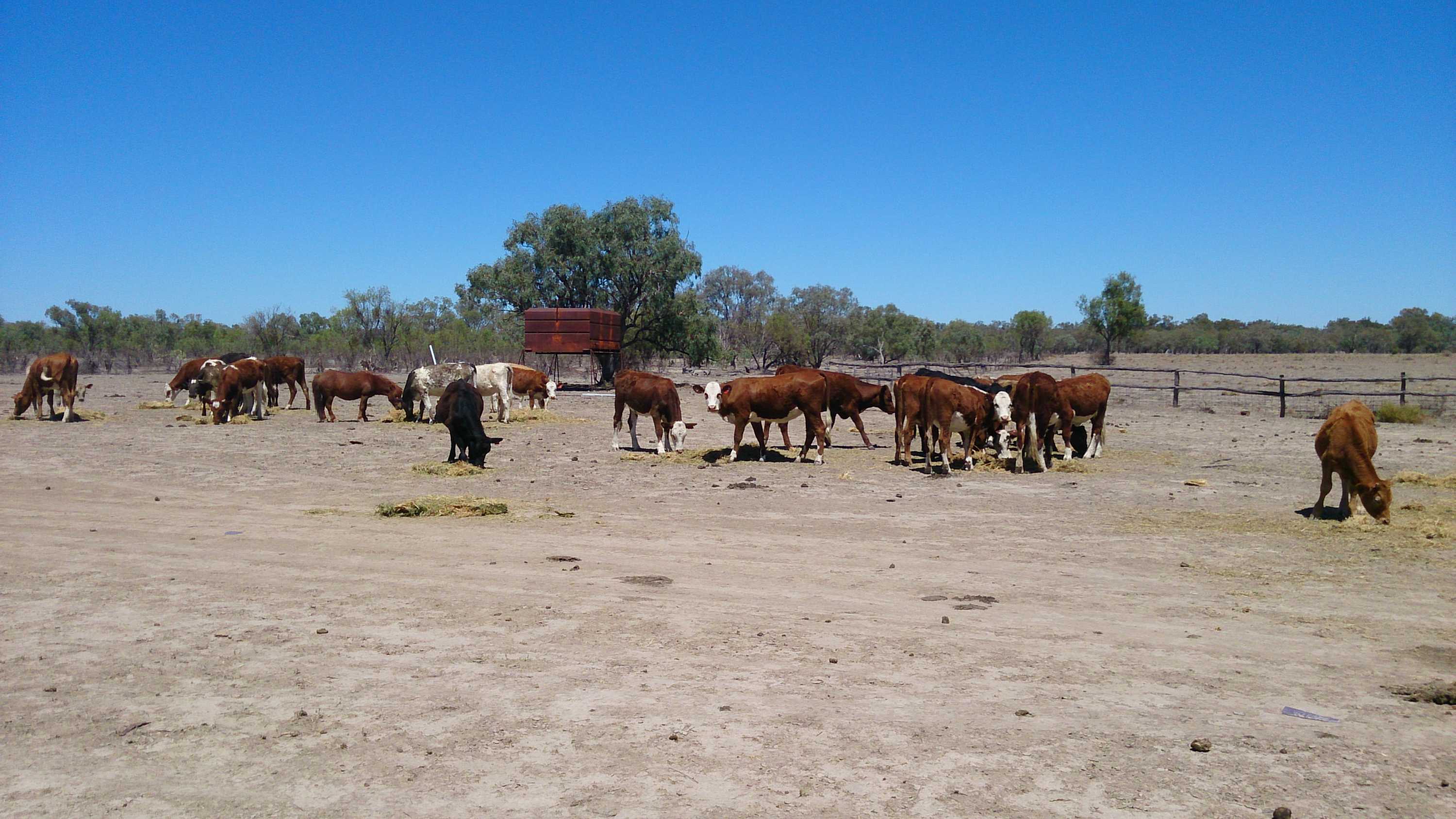 $10,000 fuel donation to a Far West hay drop for drought affected farms ...