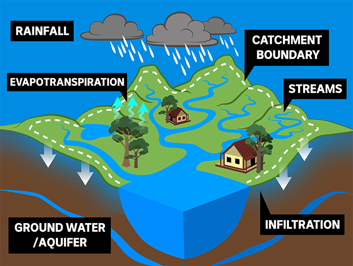 water catchment illustration