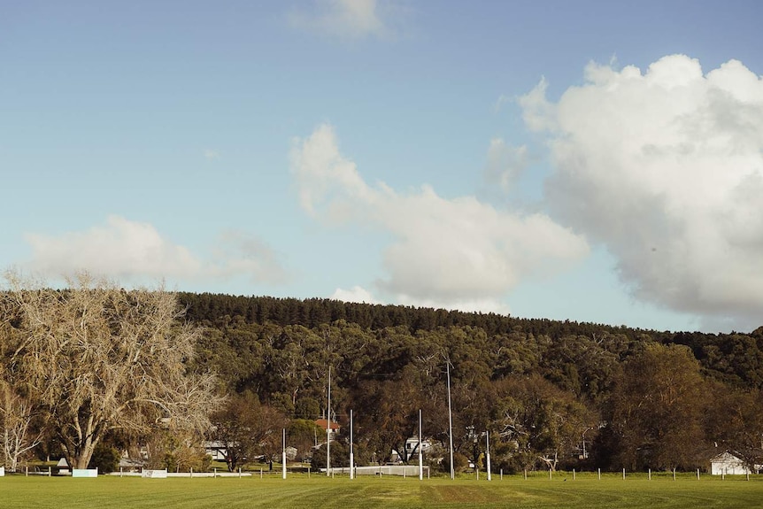 A mowed football oval with a rising pine forest in the distance behind it.