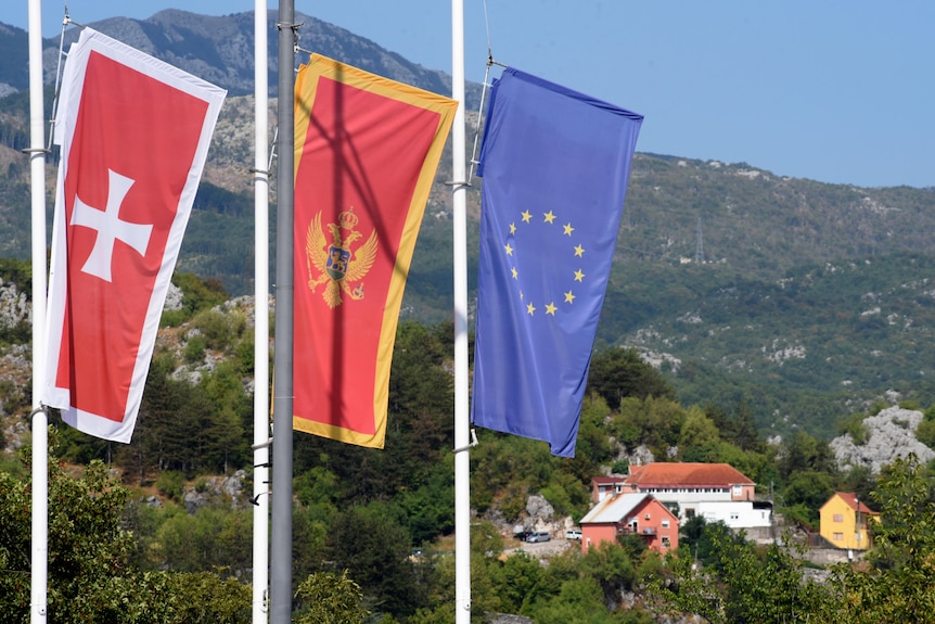 flags montenegro