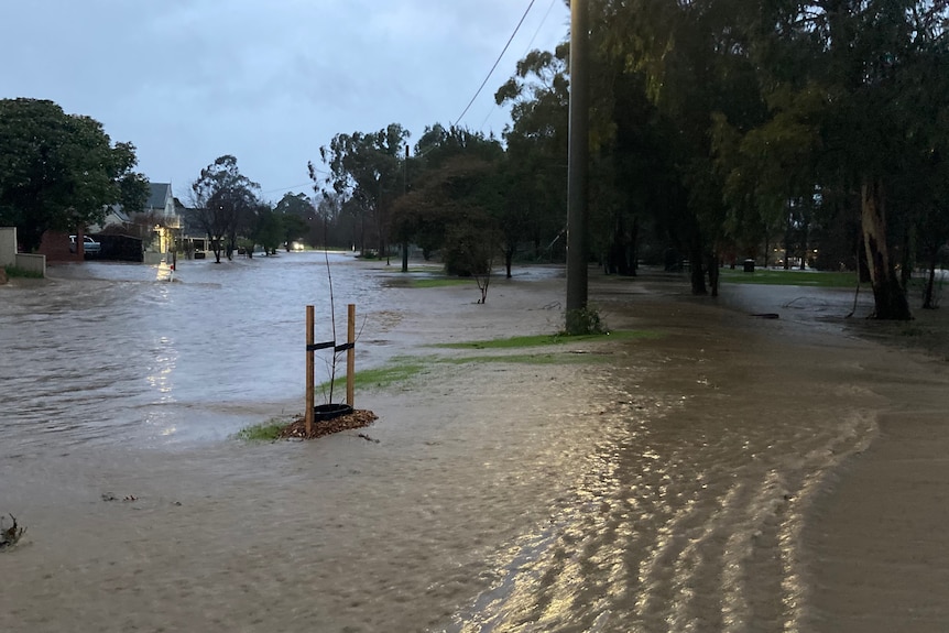 Traralgon Creek rising and inundating George Street, Traralgon