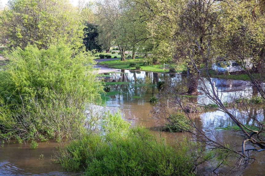 A flooded caravan park.