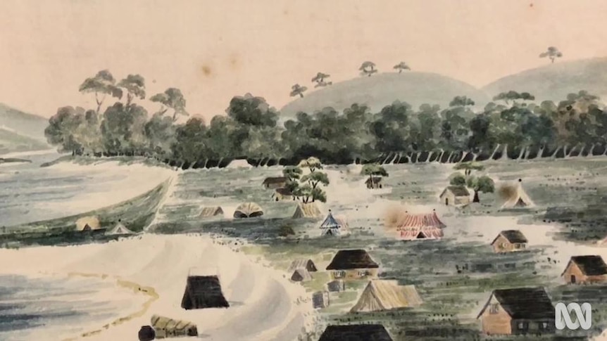 Watercolour of tents surrounded by trees