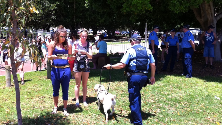 Sniffer dog in action