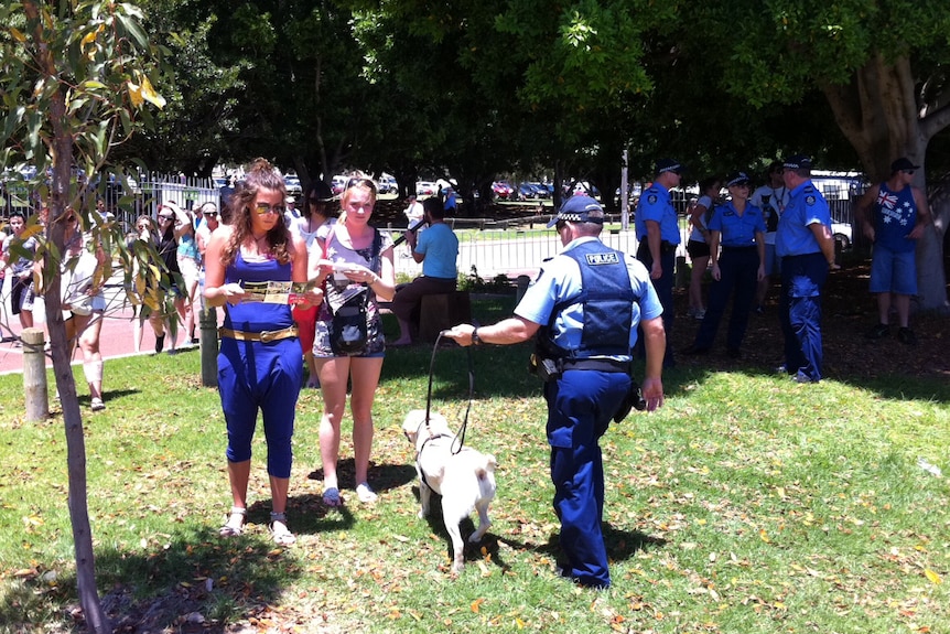 Festivalgoers being checked by drug sniffer dogs as they arrive at a venue.
