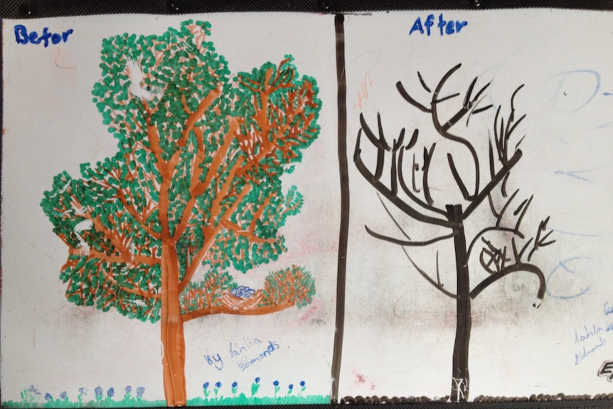 An illustration of a tree with leaves in 'before' then a tree without leaves in 'after'.