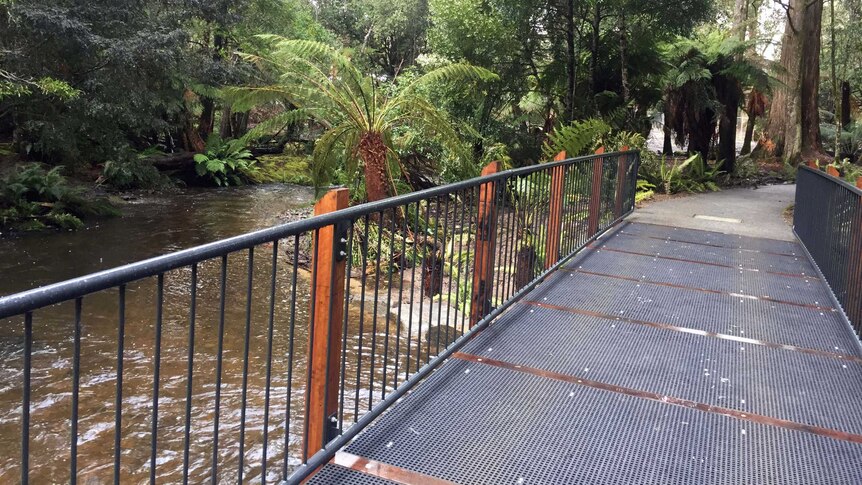 New footbridge and walking track Russell Falls