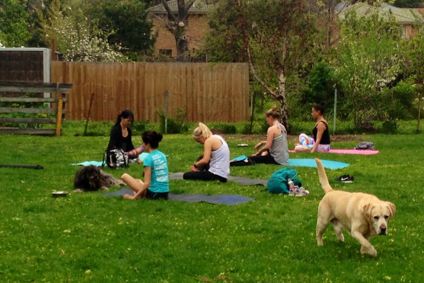 Ms Goemann leading a pet friendly yoga class in Hobart.