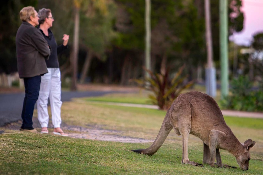 Two women standing by the side of a road near a kangaroo.