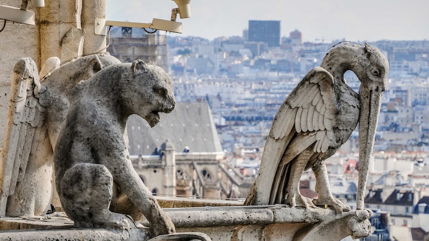 A panther and pelican gargoyles on top of Notre Dame cathedral.