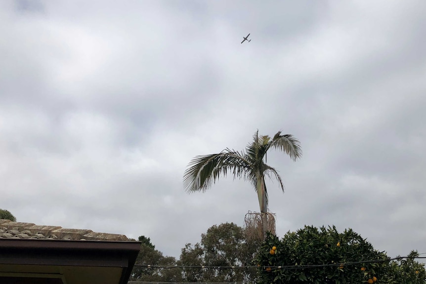 Parafield Airport plane