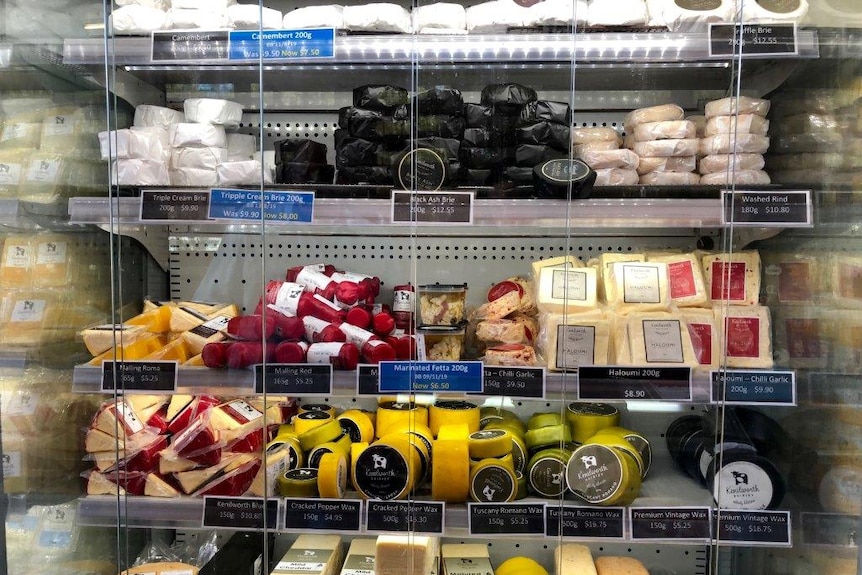 Rows of different types of cheeses.